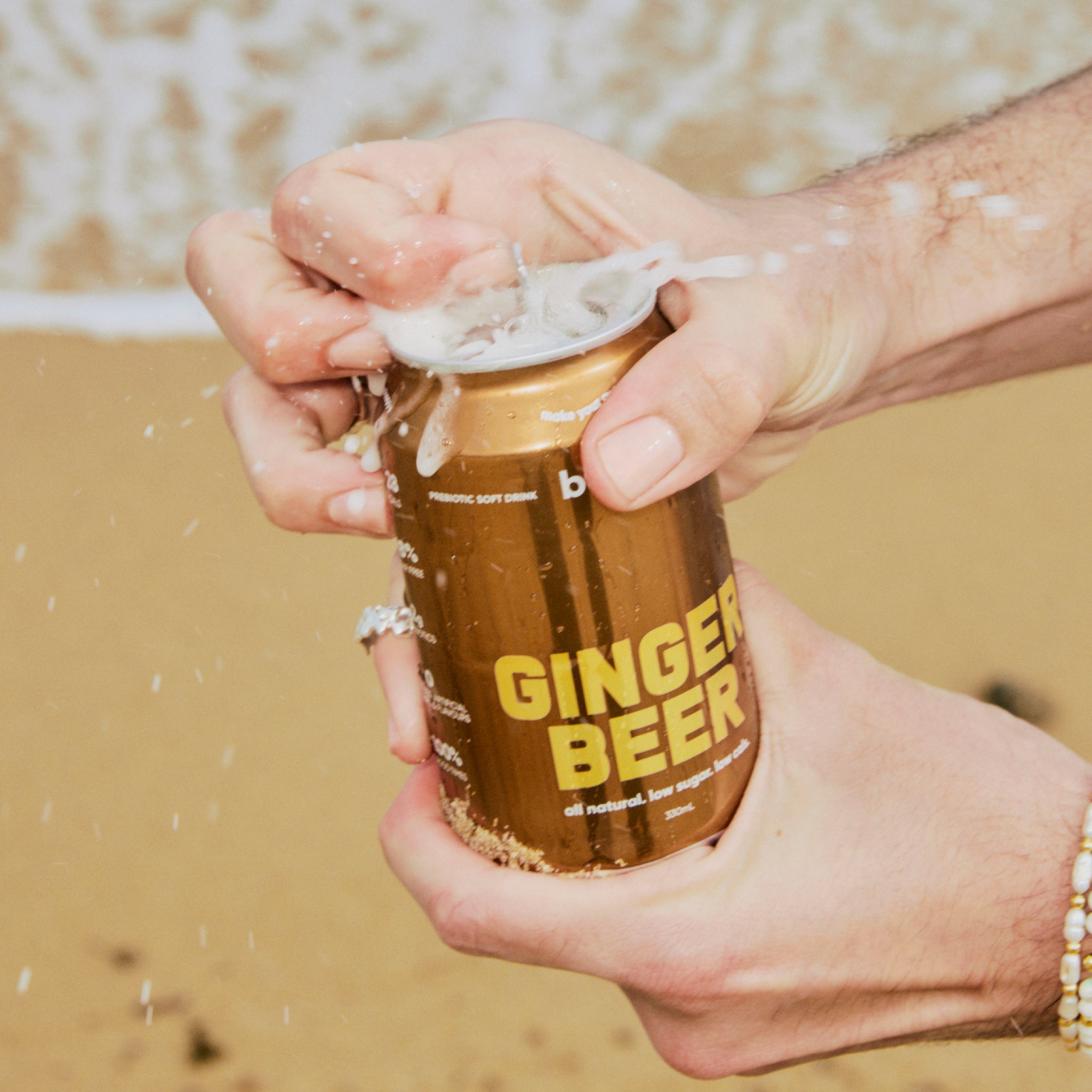 GINGER BEER (16 PACK)